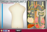 Трансплонтация органов 2